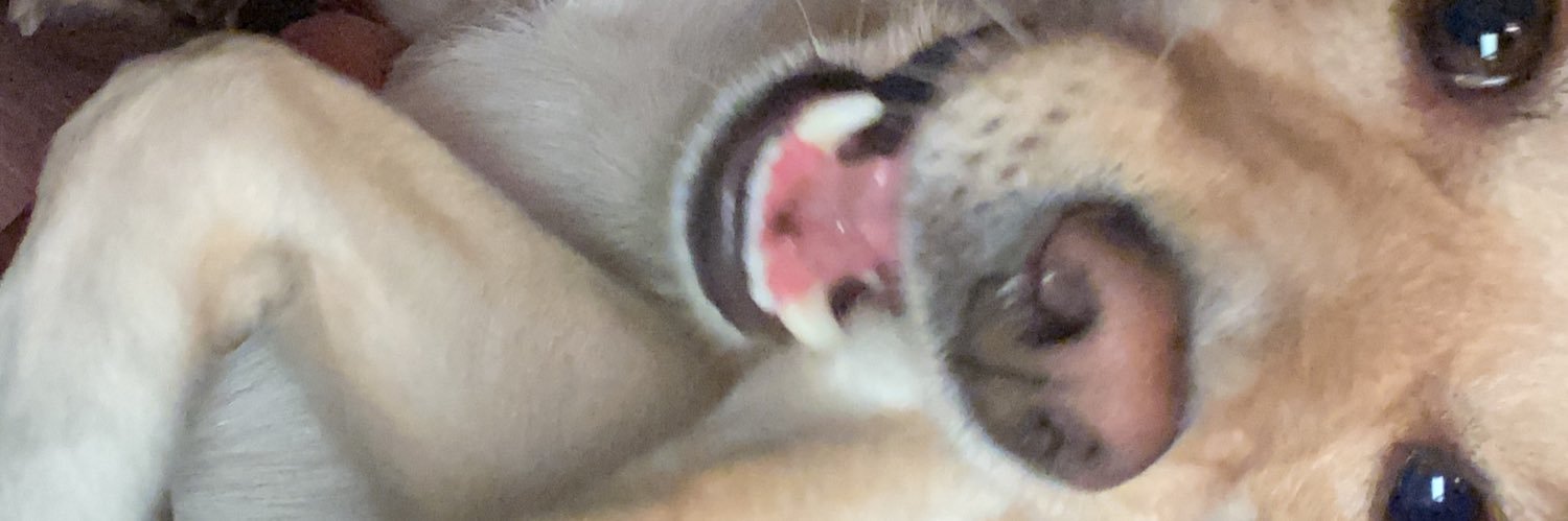 dogacosk's profile banner image