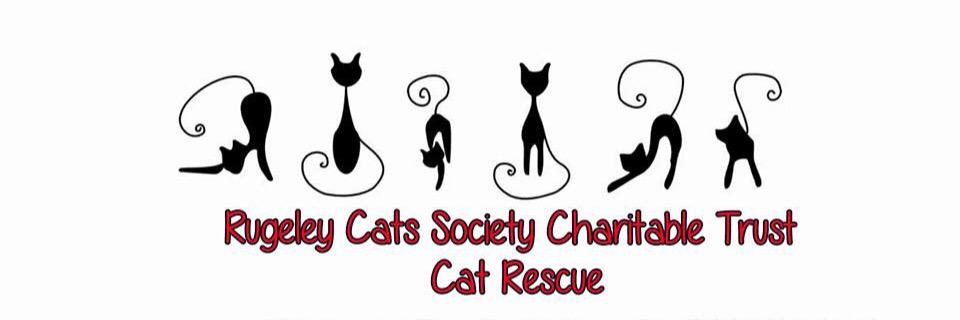 rugeleycats's profile banner image