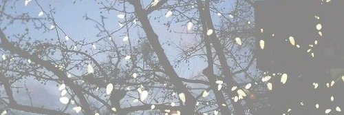 dawoudmostafa2's profile banner image
