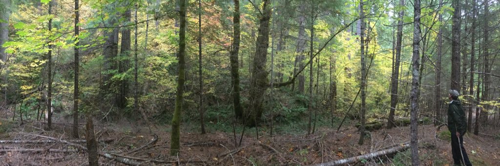 Cliff Barackman banner