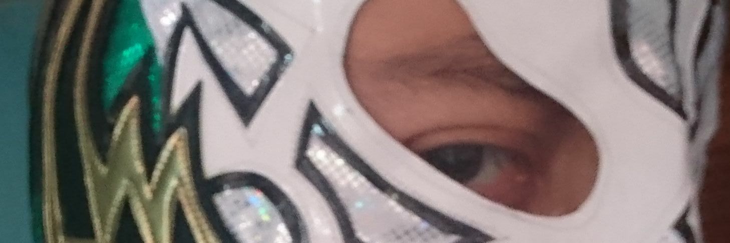 starkscarecrow's profile banner image