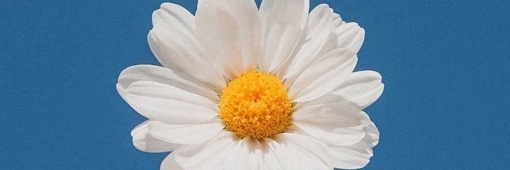 lutskip's profile banner image