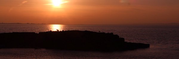 EETCEO Profile Banner