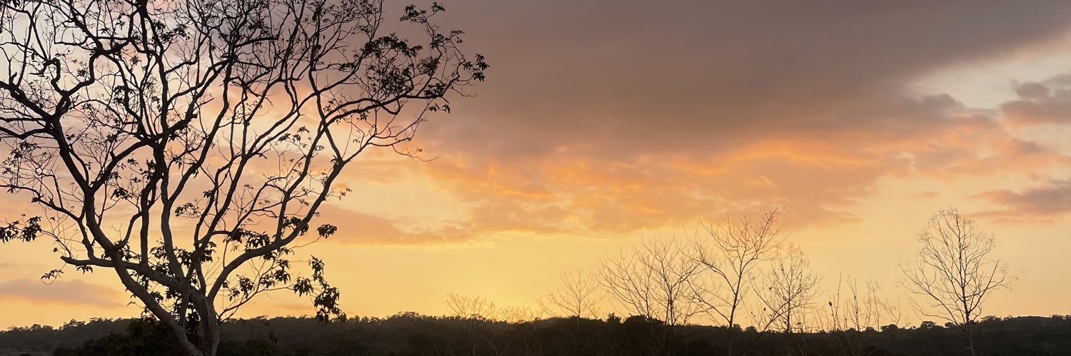 heydelle's profile banner image