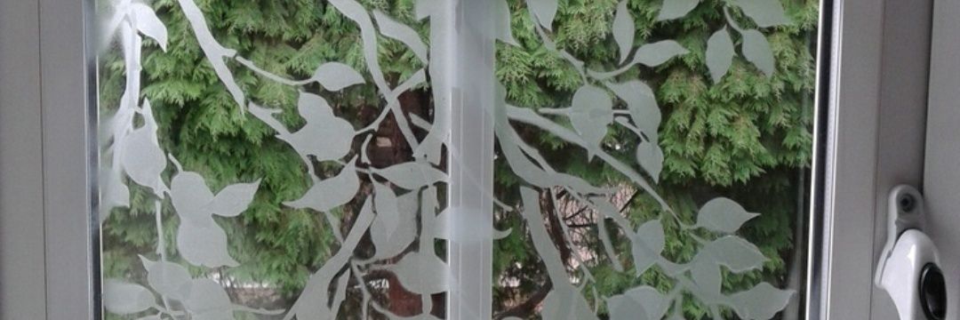 nemayqui's profile banner image