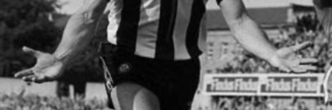 Walker Majestic banner