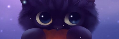 ShingleG_'s profile banner image