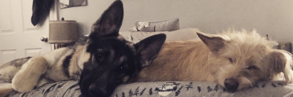 kellmcconville's profile banner image