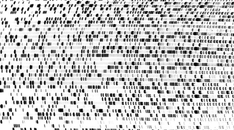 mcinerneylab's profile banner image