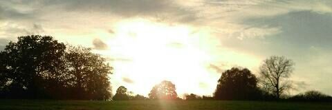 AngelaClark135's profile banner image