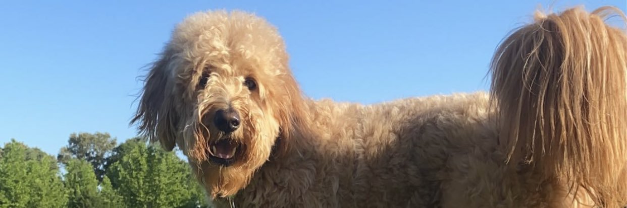 kaytlanT's profile banner image