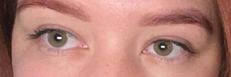 pedroˢᵖᶠᶜ🌉 banner