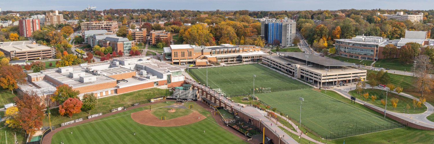 Towson Baseball banner