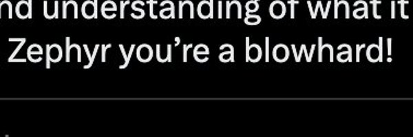 zephyrmelton Profile Banner