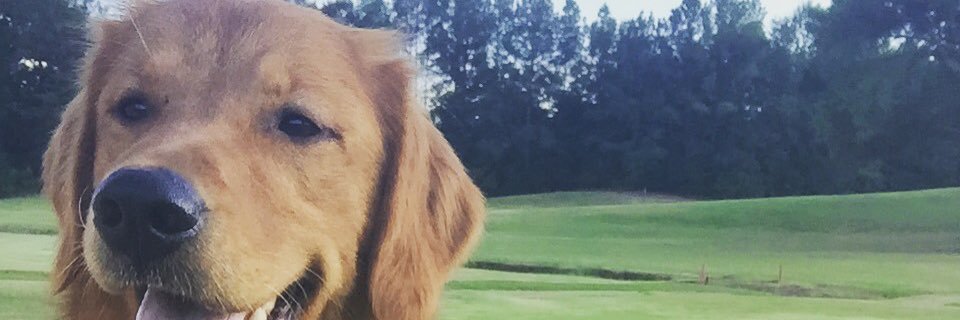 rewaggoner's profile banner image