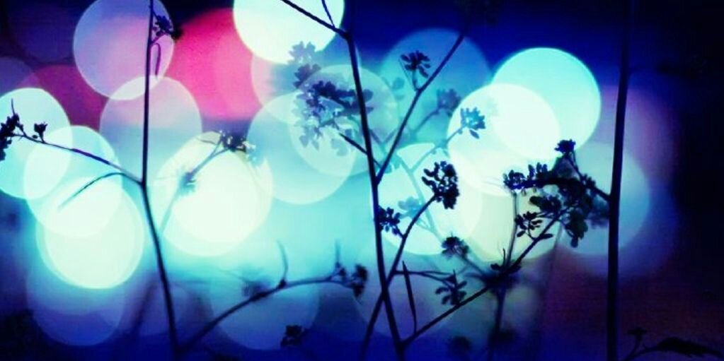 EspeonBeauty's profile banner image