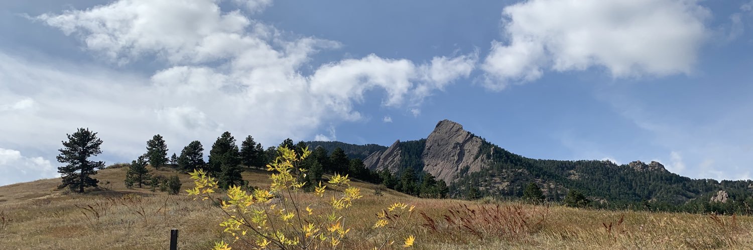 Bri_rose05's profile banner image
