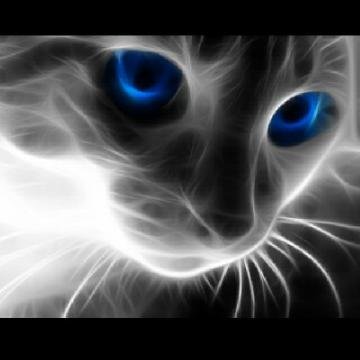 putrastep69's profile banner image