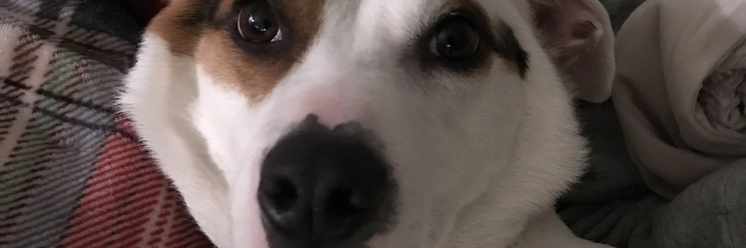 VersaceBombs's profile banner image