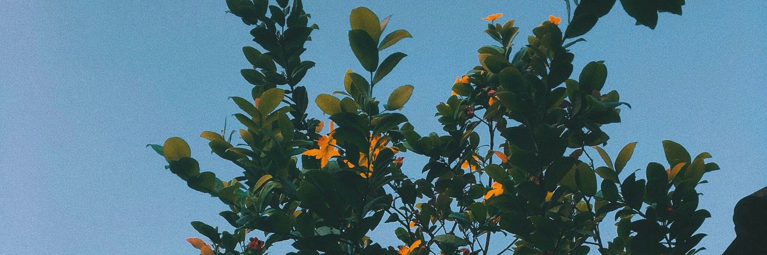 adhesinaa's profile banner image