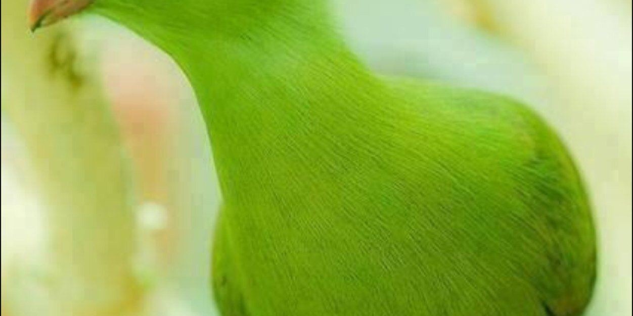dpoos12's profile banner image