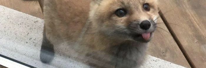 MaIsmuka's profile banner image