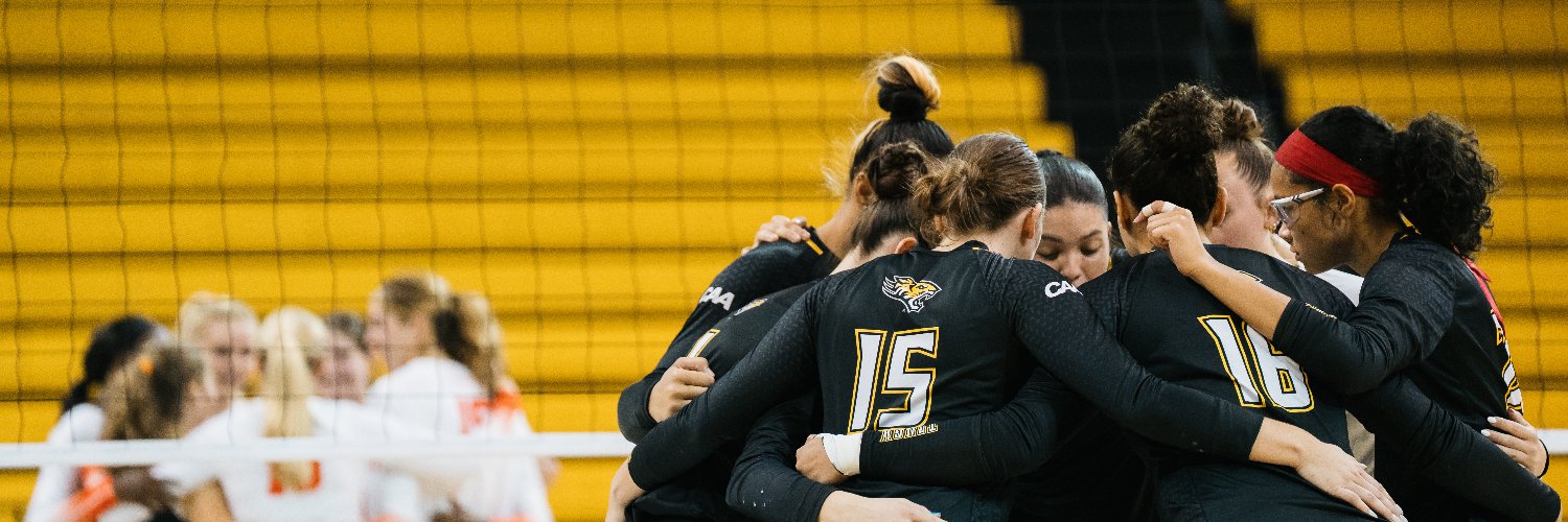Towson Volleyball banner