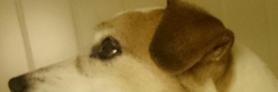 leroy5500's profile banner image