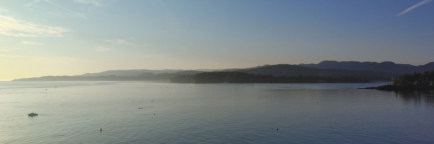cher_ram's profile banner image