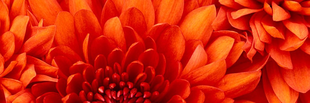 passion2learn7's profile banner image
