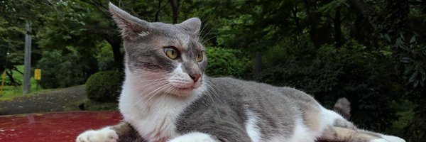 ushi3_jp Profile Banner