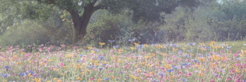 danykyun's profile banner image