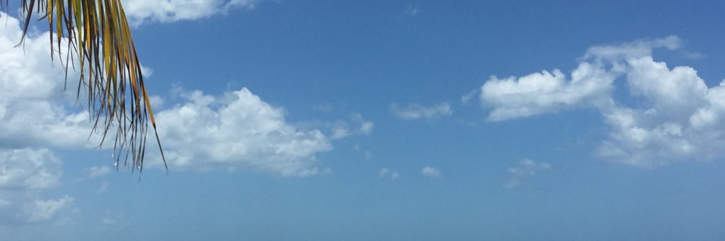 notaria95's profile banner image
