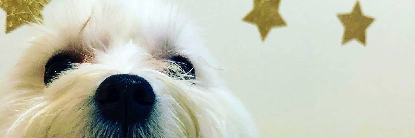 little032's profile banner image