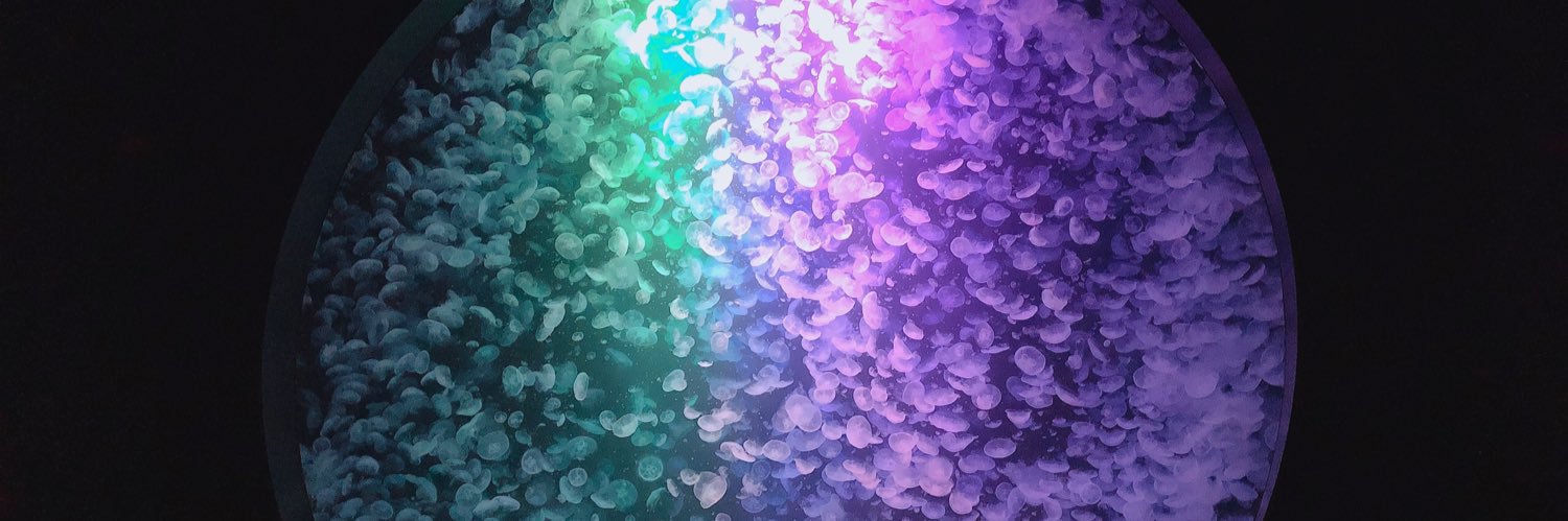 wat5sky's profile banner image