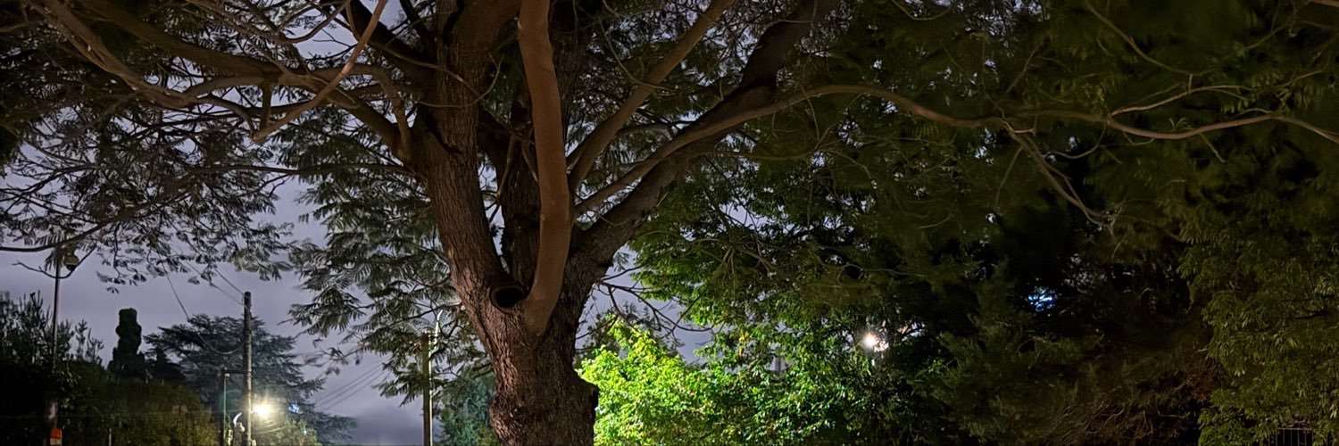 cgse1329's profile banner image