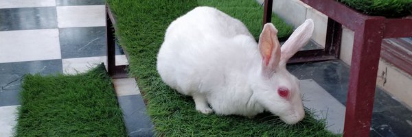 _jitinsharma Profile Banner