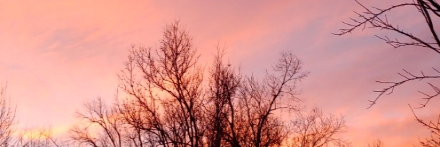 Andy_Benham's profile banner image