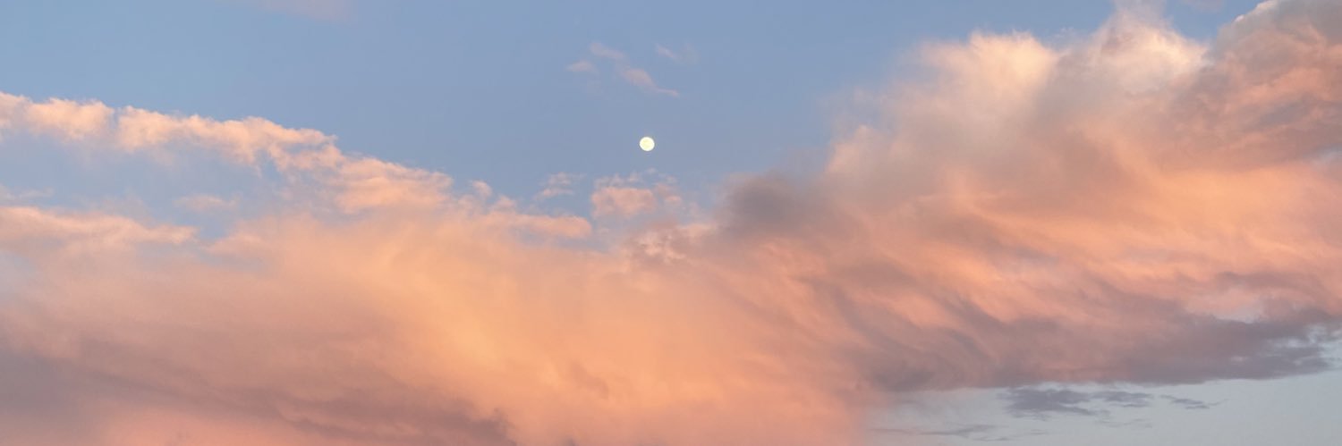 pauud1's profile banner image