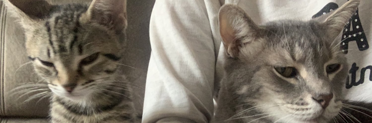 ashley_starkk's profile banner image