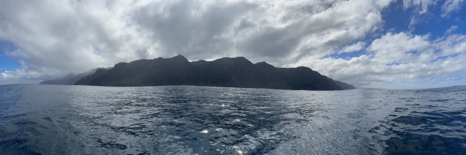 Guillermo Rosas banner