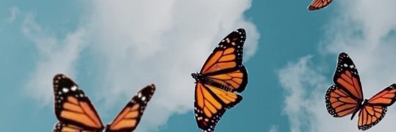 AustinCNicole's profile banner image