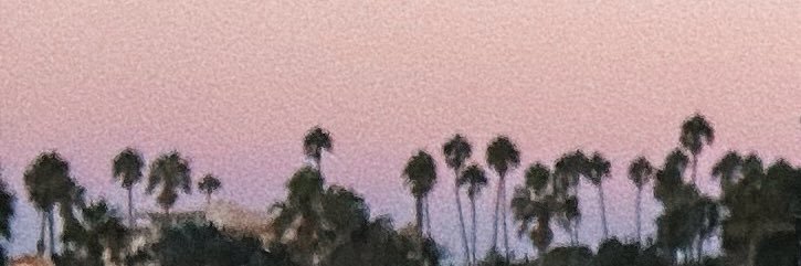 zachlibal's profile banner image