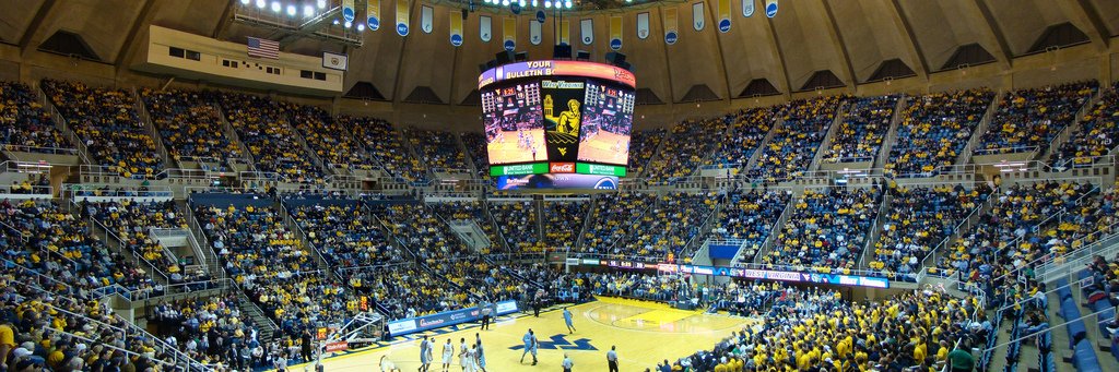 Michael Freer banner