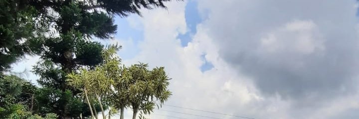 Lha_Xiao's profile banner image