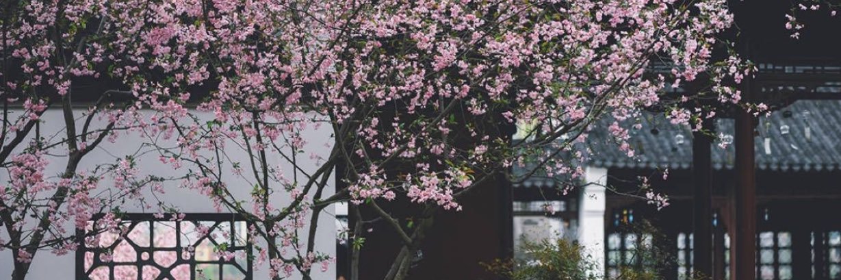 khalidAlorej's profile banner image