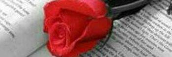 MariaEscami's profile banner image