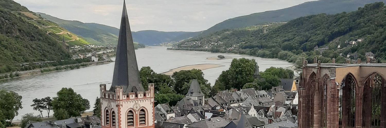 carolewil's profile banner image