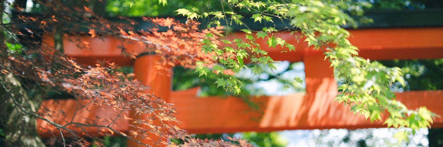 ykfmsma's profile banner image