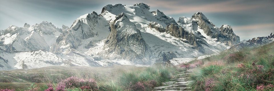 elea_mt's profile banner image